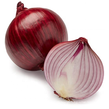 Red Onion best quality cheap price onion health food onion